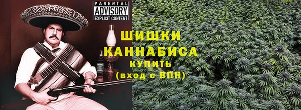 прущие грибы Абинск