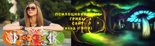 Альфа ПВП Абаза