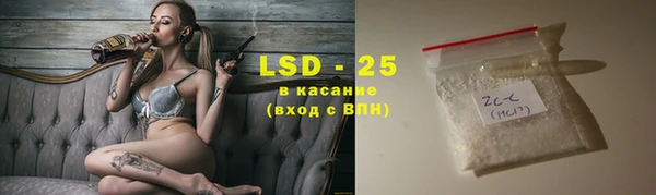 прущие грибы Абинск